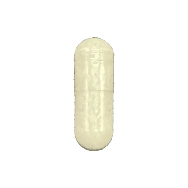 ADEK20Cap20-20APM20-20100001372.png