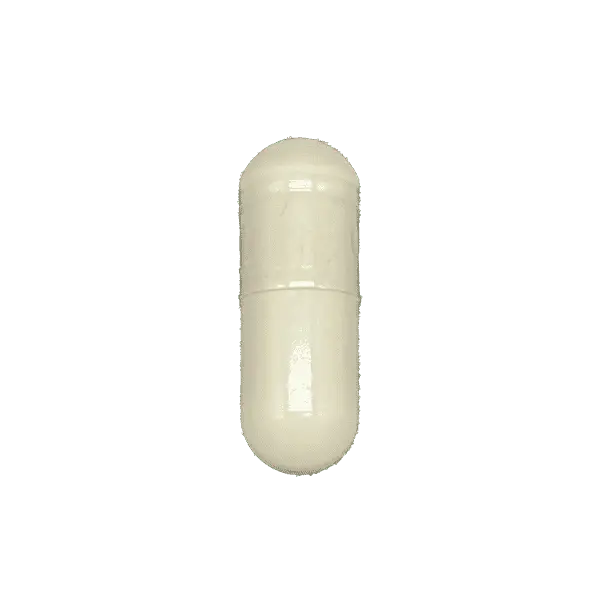 BCAA20-20SL20-20100001379.png