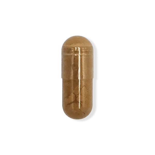 Cordyceps-UST.png