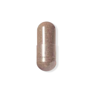 Elderberry
