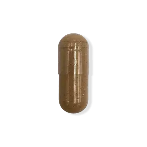 Fenugreek