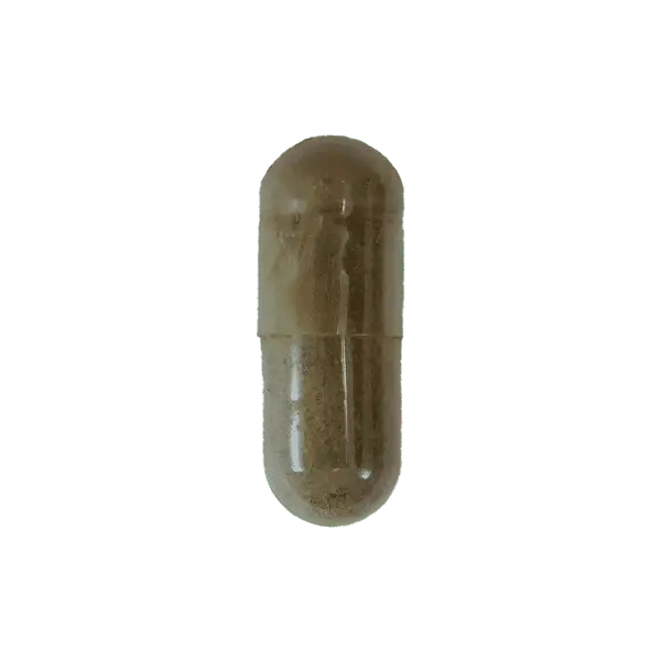 Forslean20500mg20Vcap20-20SC20-20100001371.png