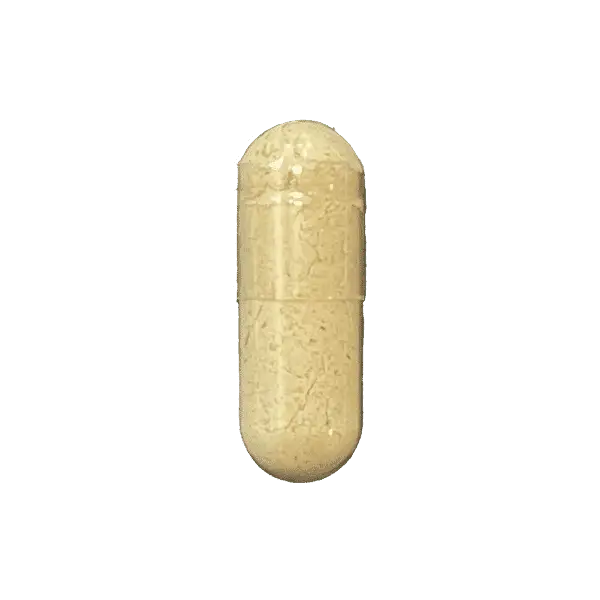 Ginger20Root20Vcap20-20VW20-20100001403.png