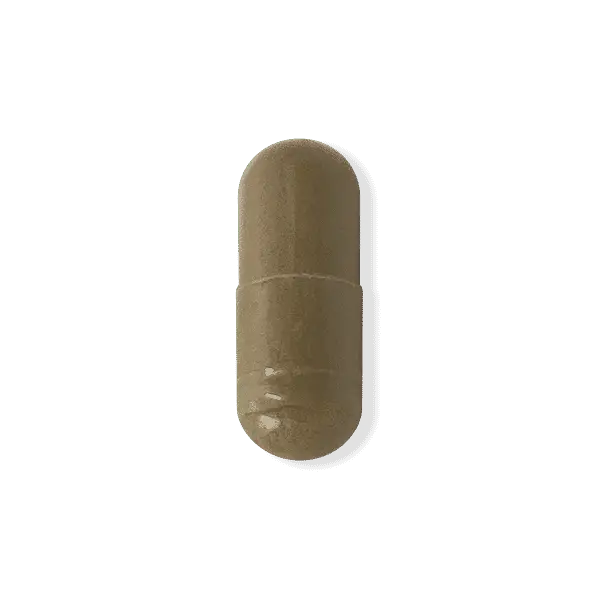 Green-Coffee-Bean-500mg.png