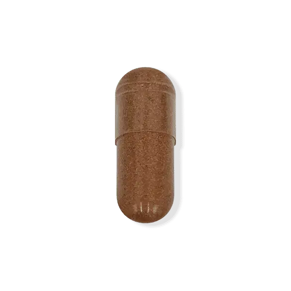 Green20Tea20Extract20300mg20Cap20-20UST.png