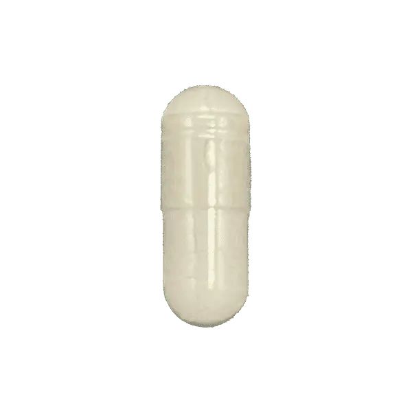 L-Citrulline20500mg20Vcap20-20APM20-20100001375.png