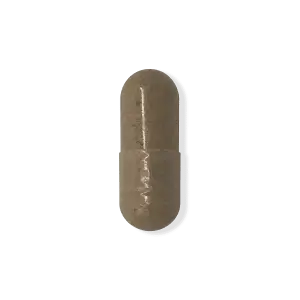 Milk Thistle