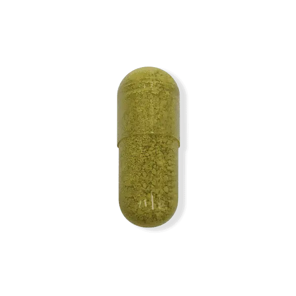 Quercetin-500mg.png