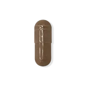 Rhodiola