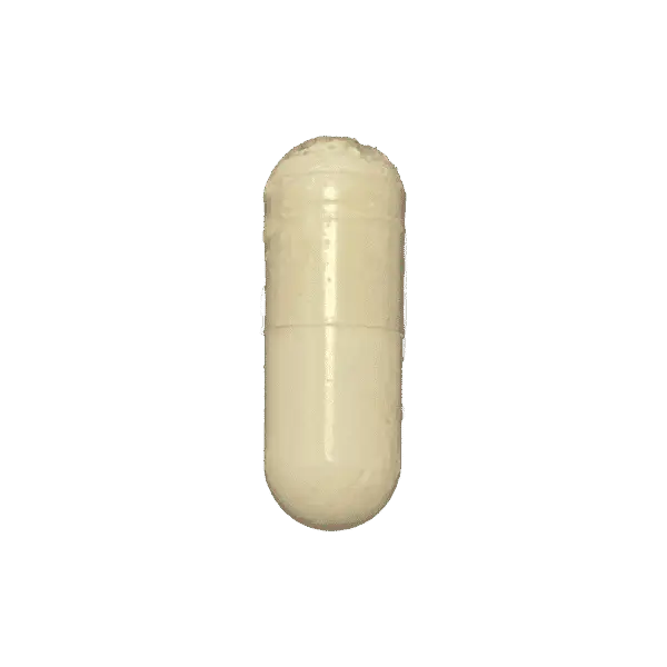 Saw20Palmetto20-20APM20-20100001445.png